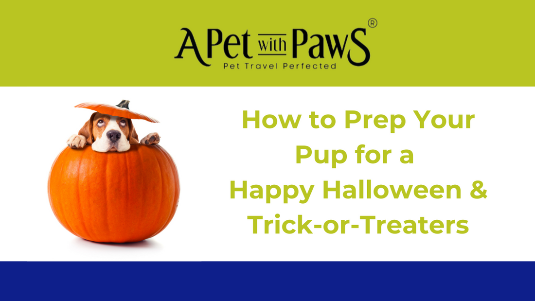 How to Prep Your Pup for a Happy Halloween and Trick-or-Treaters