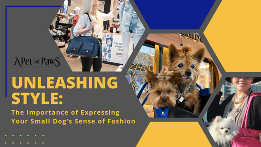 Unleashing Style: The Importance of Expressing Your Small Dog's Sense of Fashion