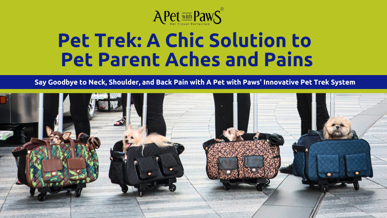 Pet Trek: A Chic Solution to Pet Parent Aches and Pains