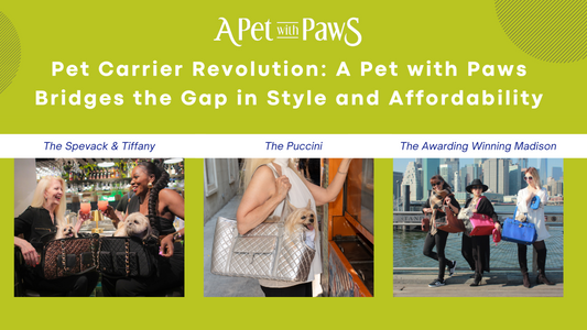 Pet Carrier Revolution: A Pet with Paws Bridges the Gap in Style and Affordability