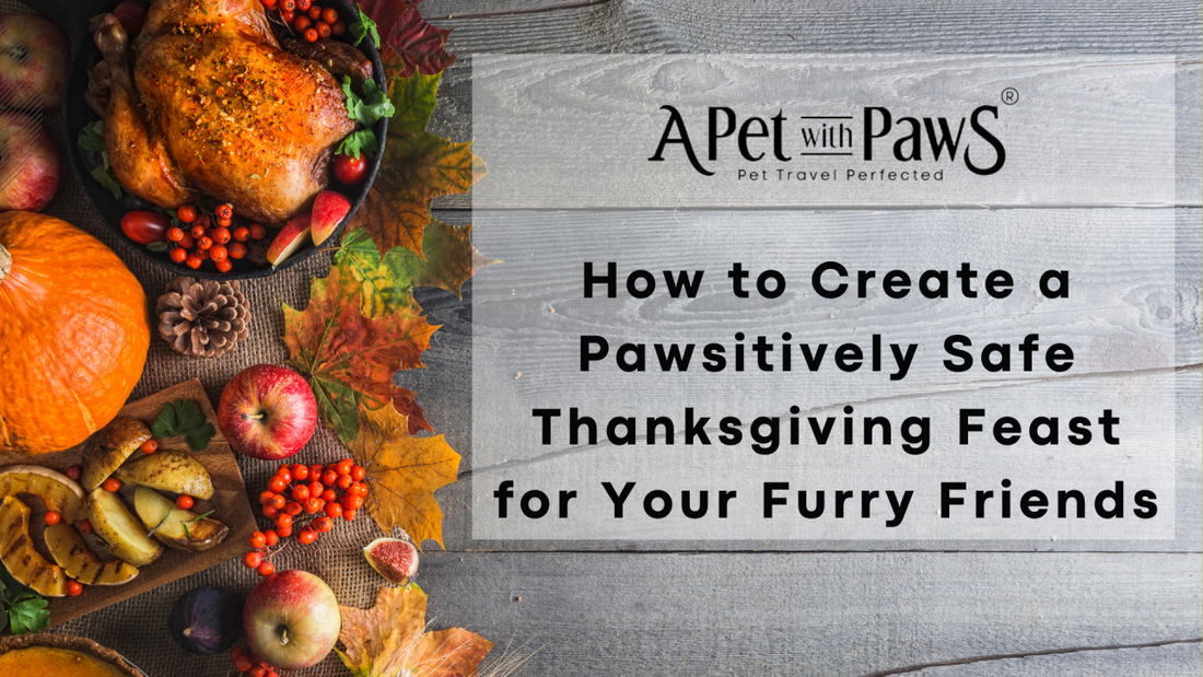 How to Create a Pawsitively Safe Thanksgiving for Your Furry Friends