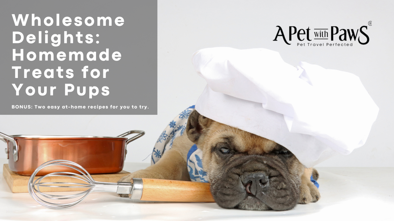 Wholesome Delights: Homemade Treats for Your Pups