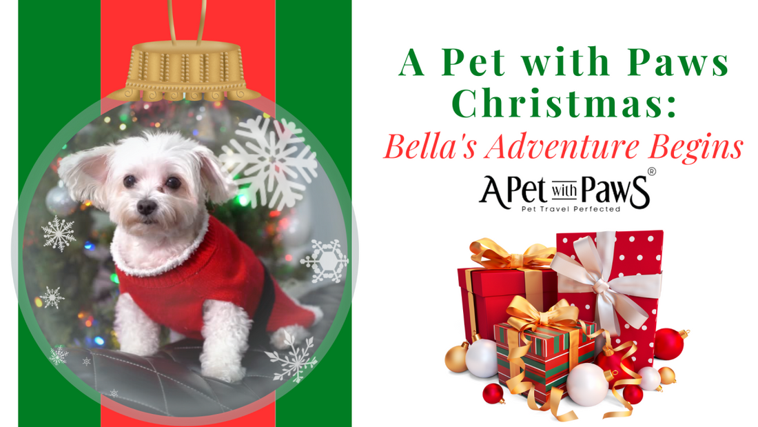 A Pet with Paws Christmas: Bella's Adventure Begins