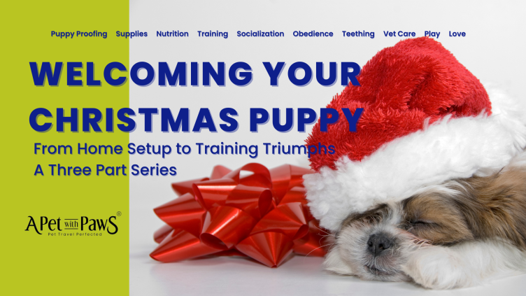 Welcoming Your Christmas Puppy: Part 1