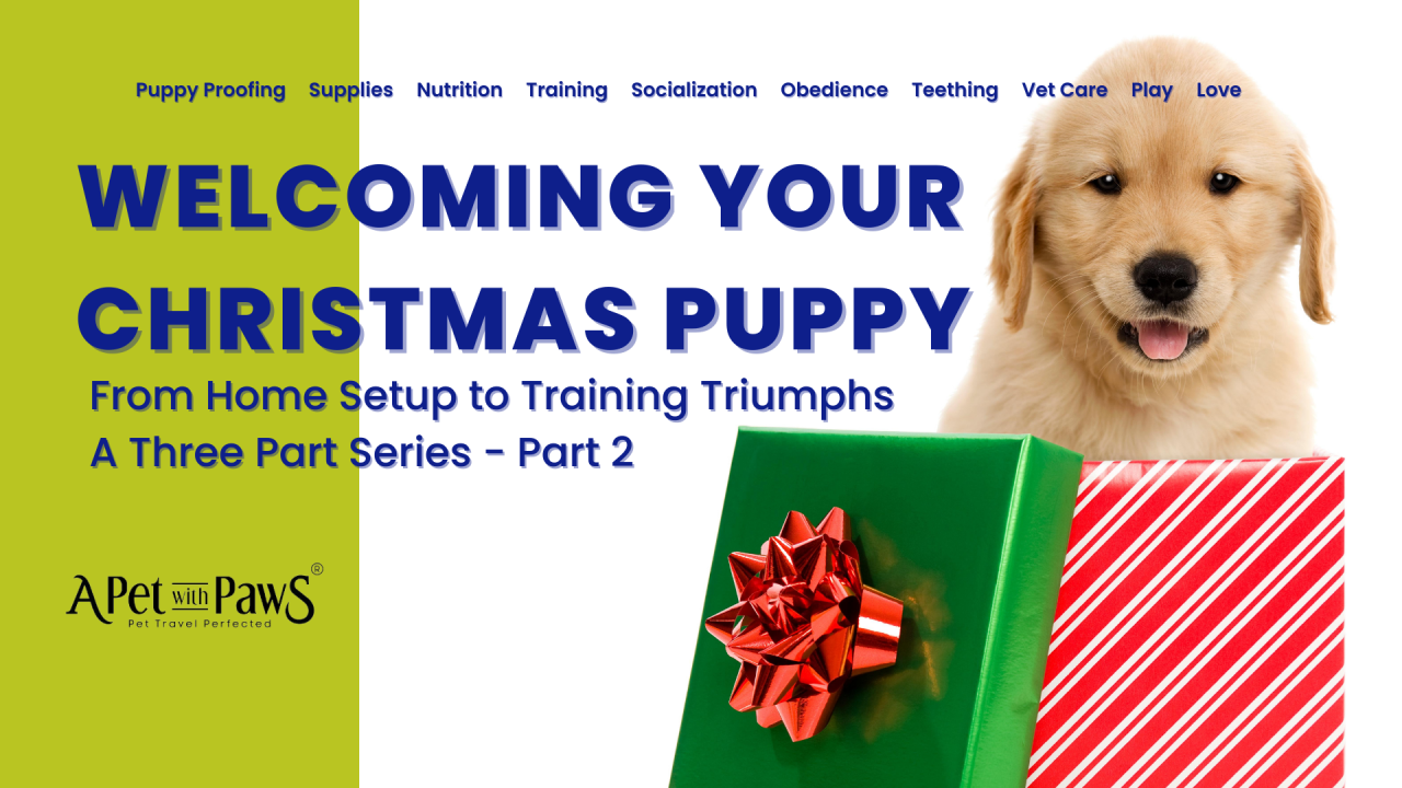 Welcoming Your Christmas Puppy - Part 2