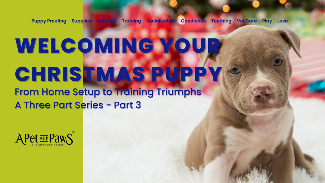 Welcoming Your Christmas Puppy - Part 3