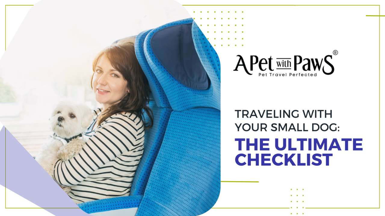 Traveling With Your Small Dog: The Ultimate Checklist