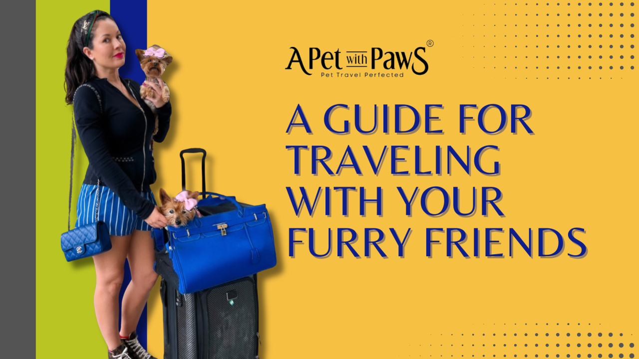 A Guide for Traveling with Your Furry Friends