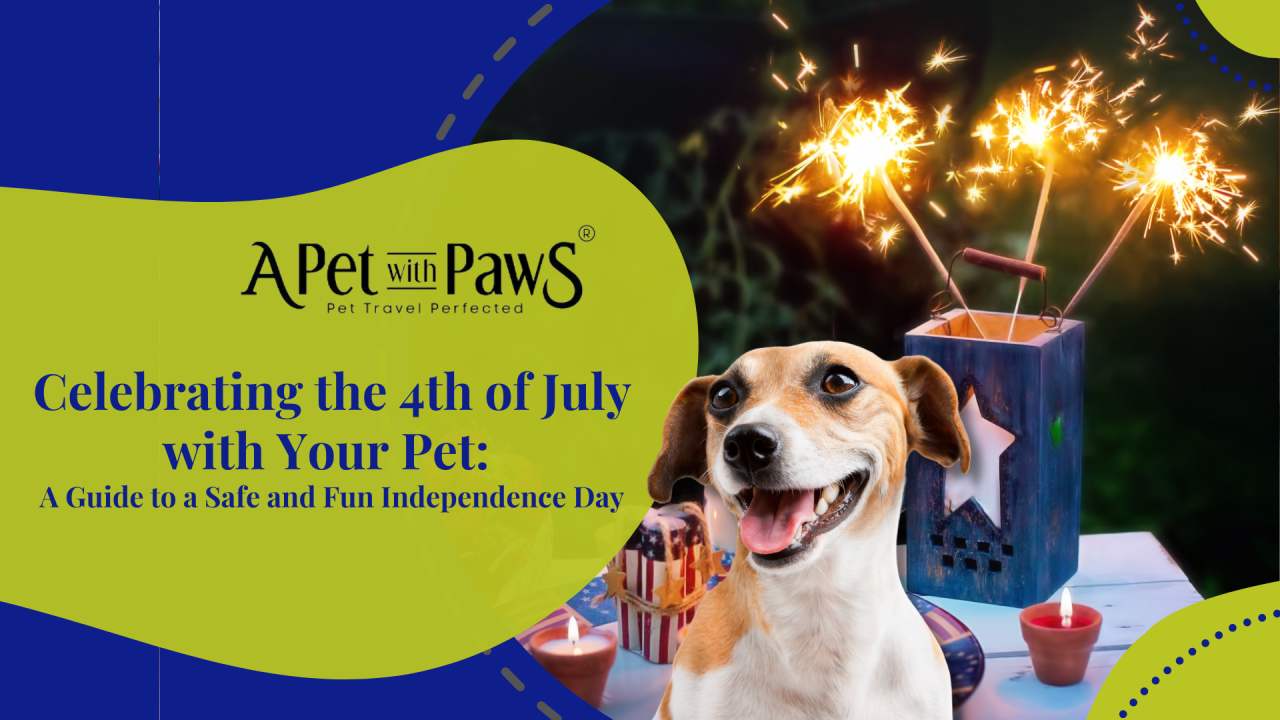 Celebrating the 4th of July with Your Pet: A Guide to a Safe and Fun Independence Day