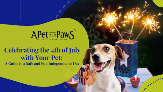 Celebrating the 4th of July with Your Pet: A Guide to a Safe and Fun Independence Day