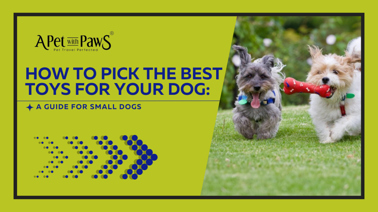 How to Pick the Best Toys for Your Dog: A Guide for Small Dogs