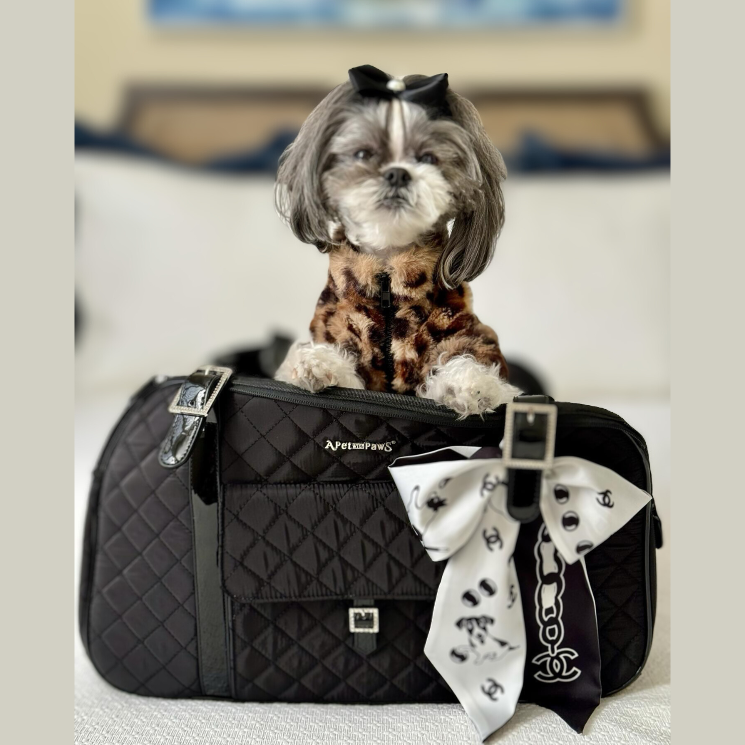 Pet carrier with Web in beige and ebony Supreme | GUCCI® US