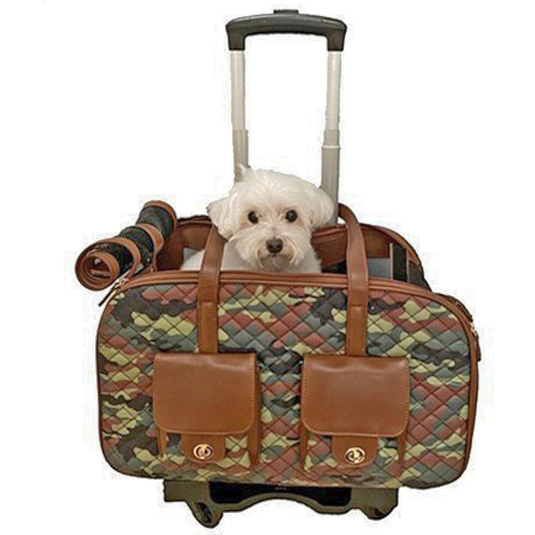 What Are The Requirements For An Airline Approved Pet Carrier For